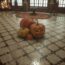 Pumpkin Decoration Hogwarts Legacy